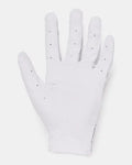 Under Armour Iso-Chill Boys' Golf Glove
