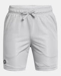 Under Armour Icon Mesh Boys' Shorts