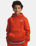 Under Armour Icon Fleece Boys' Hoodie